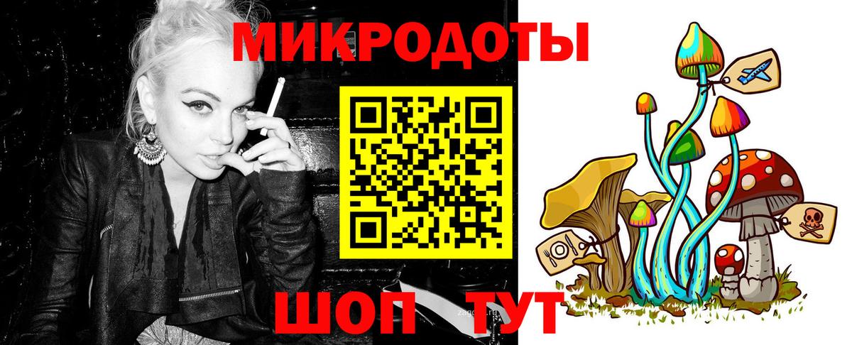 Псилоцибиновые грибы Cubensis Уссурийск